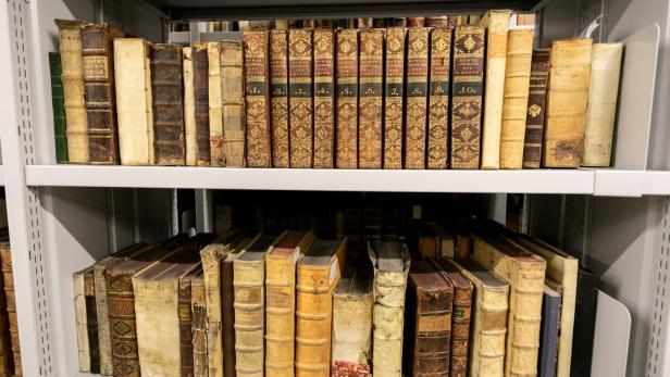 "Die große Schwachstelle von KI-Übersetzern"