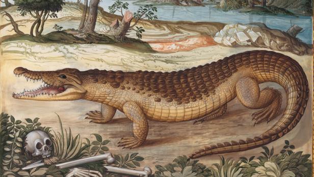 Prunkzoo: Von Fischen, Vögeln & Reptilien