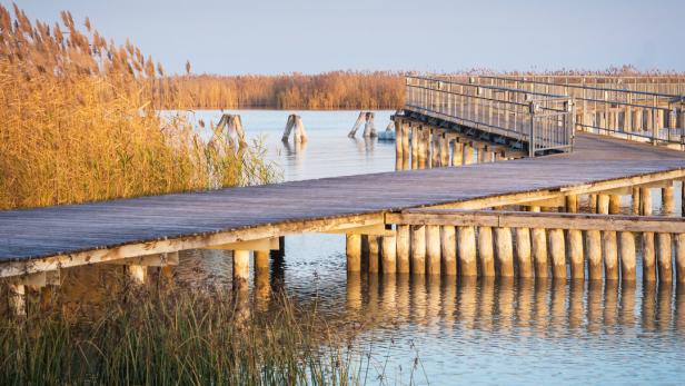 Pier and Jetty at Moerbisch in Burgenland Neusiedlersee Steg und Schilf im Neusiedlersee bei Mörbisch, Burgenland in der Abendsonne