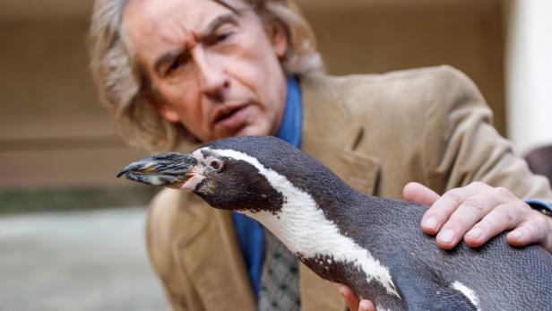 46-214683743 Steve Coogan mit seinem neuen Freund Juan Salvador: „Der Pinguin meines Lebens“