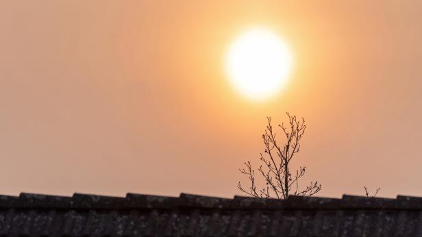 Sunrise and Saharan Dust Warum Saharastaub für PV-Module problematisch ist