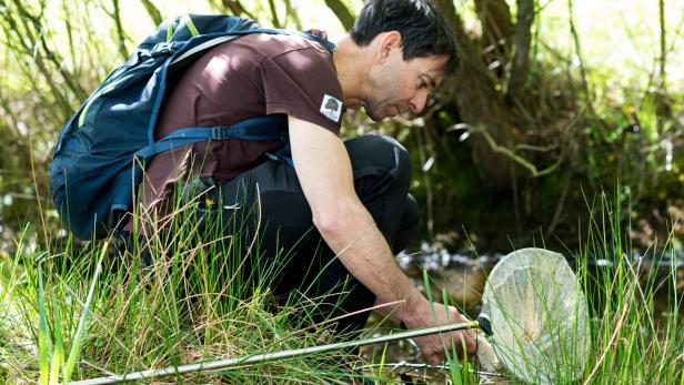 Natur erleben, Artenvielfalt entdecken und Forscher werden
