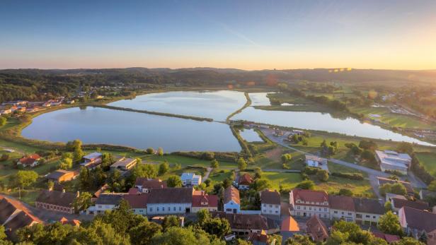 Die Güssinger Fischteiche am Rande der Stadt sind Lebensraum für viele seltene Fische, über 300 Pflanzenarten sowie für 244 verschiedene Vögel.