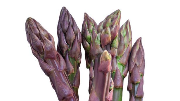 Wenig bekannter Purpurspargel: So schmeckt er am besten