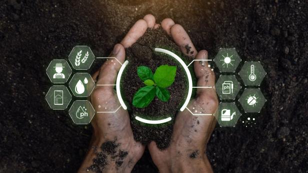 Intelligenter Ernteertrag: KI in der Landwirtschaft