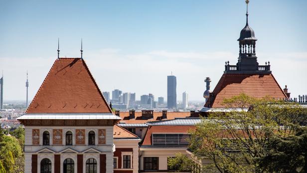 THE-Rankings: BOKU erstmals unter den weltbesten Hochschulen