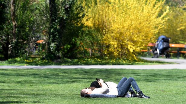 Frau liegt im Park auf einer Wiese
