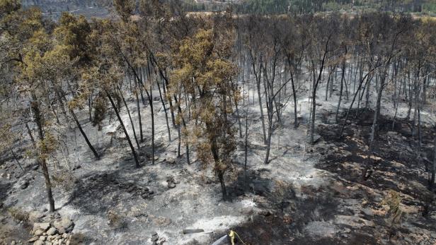 Wildfires burn in the Jerusalem hills, central Israel Wildfires burn in the Jerusalem hills, central Israel
