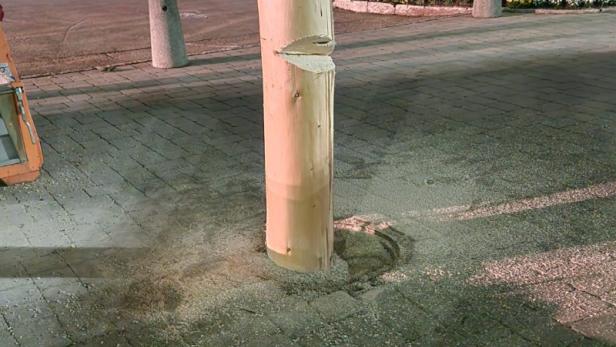 Maibaum in Fohnsdorf angesägt