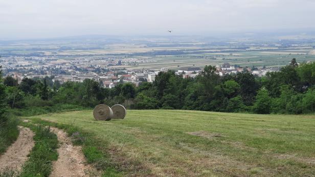 Eisenstadt, Blick vom Leithagebirge Eisenstadt, Blick vom Leithagebirge
