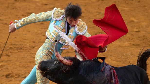 BULLFIGHTING-ESP BULLFIGHTING-ESP