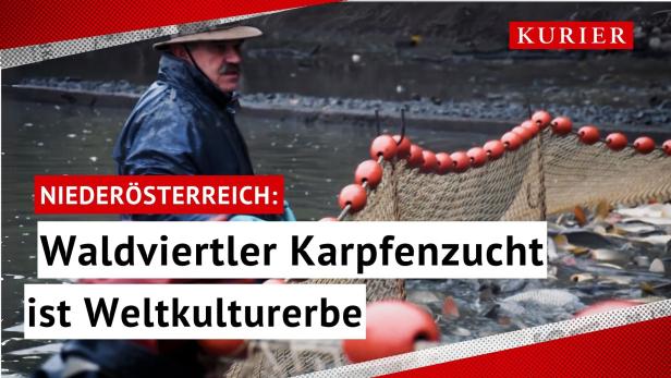 Waldviertler Karpfenteiche als Weltkulturerbe anerkannt