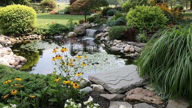 the perfect backyard