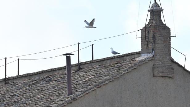Conclave to elect new Pope Conclave to elect new Pope