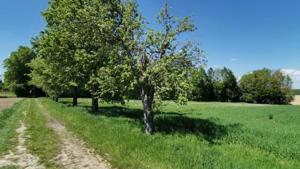 Schleissheim
