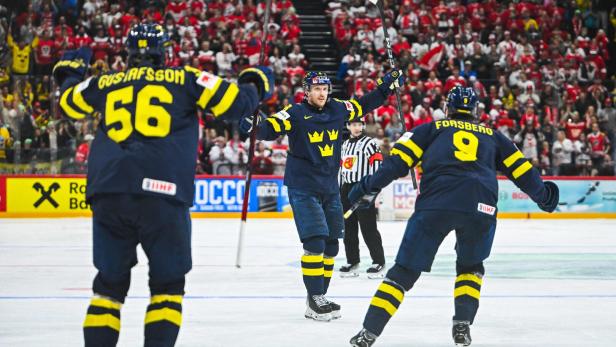Die NHL-Stars von Schweden 