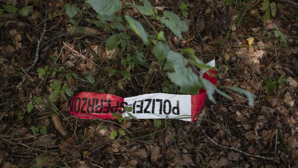 Swiss police arrests several after US woman dies in assissted suicide pod