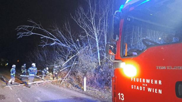 ++ HANDOUT ++ WIEN: STURM SORGTE FÜR EINE ERHÖHTE ANZAHL AN FEUERWEHREINSÄTZEN