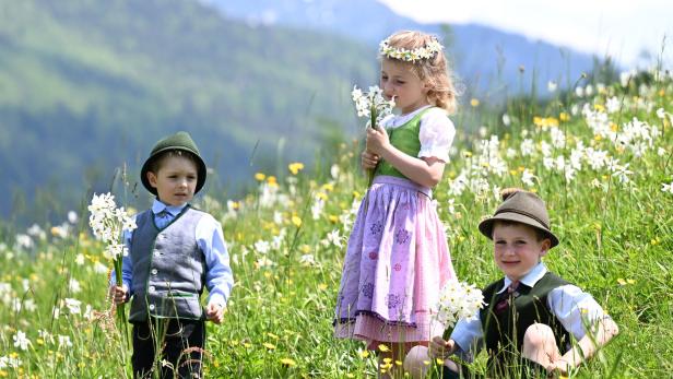 Kinder in Wieser voller Narzissen