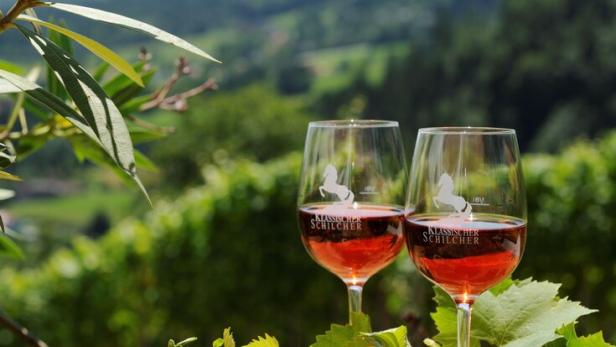 Zwei Gläser Schilcherwein und eine Jause stehen vor einer grünen Hügellandschaft.