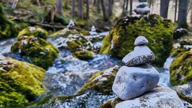 Ein Steinturm steht an einem Bach in einem moosbewachsenen Wald.