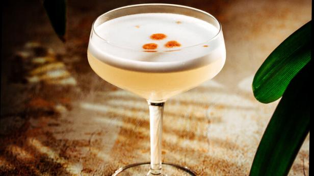 Pisco Sour im Cocktailglas.