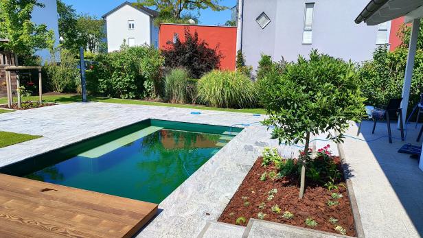 Ein Naturpool in einem Garten 