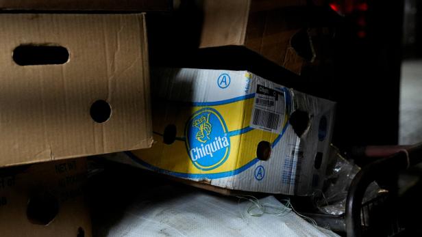 Chiquita Panama announces mass firing of banana workers after strike Chiquita Panama announces mass firing of banana workers after strike