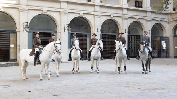 Besuch in der Spanischen Hofreitschule