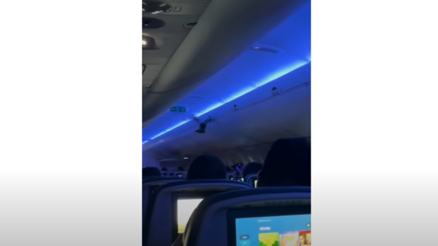 Eine Taube fliegt durch das Innere eines Flugzeugs Eine Taube fliegt durch das Innere eines Flugzeugs