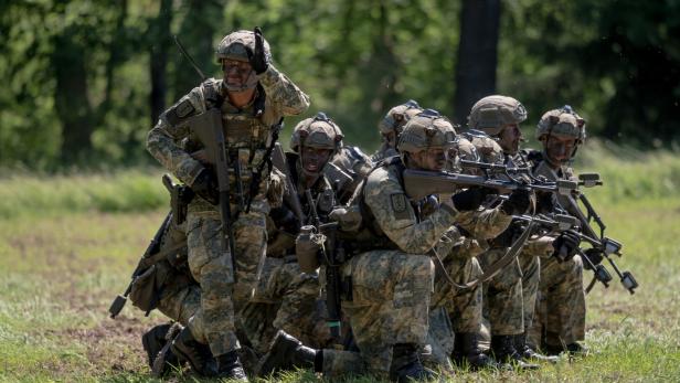 Austrian Armed Forces conduct military exercise at Allentsteig