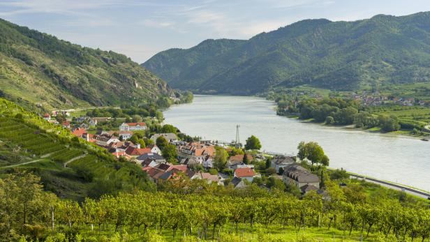 Blick von einem Hügel auf die Donau und die Wachau