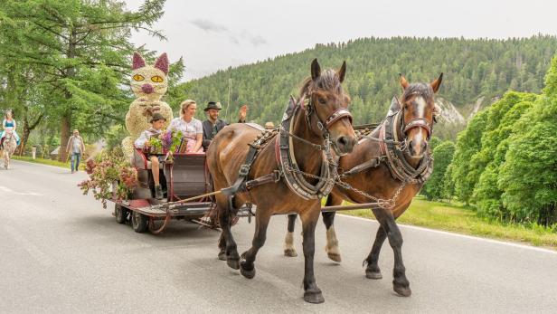 Zwei Pferde ziehen geschmückte Kutsche