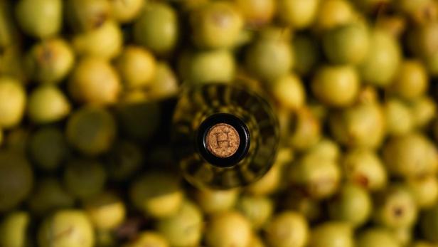 Birnenmostflasche samt Birnen.