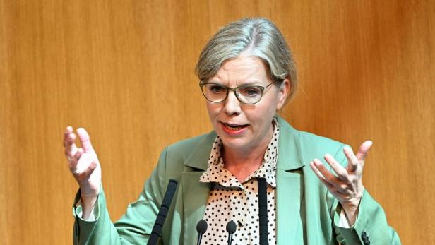 BUDGET: NATIONALRAT U.A. POSITIONEN ZU BUDGETENTWURF: GEWESSLER BUDGET: NATIONALRAT U.A. POSITIONEN ZU BUDGETENTWURF: GEWESSLER