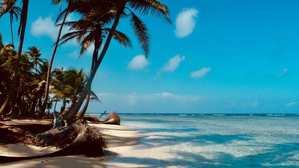 Karibischer Strand Strand in der Karibik mit Palmen