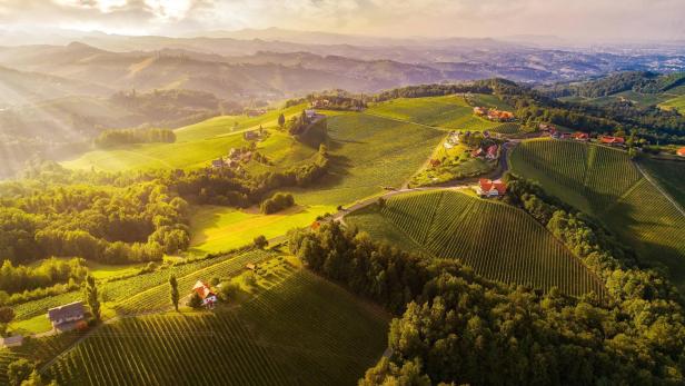 Luftaufnahme von Weinbergen und grünen Hügeln in der Südsteirischen Weinstraße.