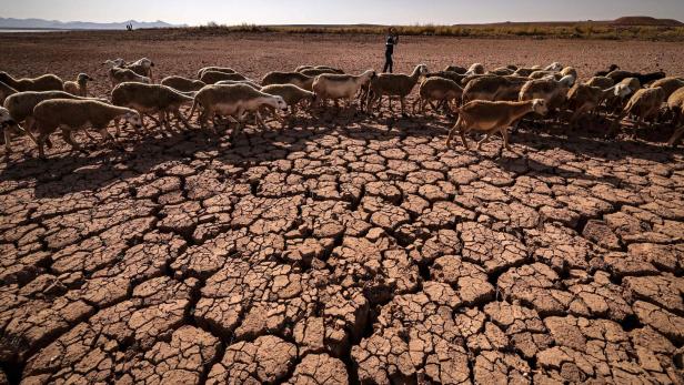 MOROCCO-CLIMATE-AGRICULTURE-WEATHER-DROUGHT MOROCCO-CLIMATE-AGRICULTURE-WEATHER-DROUGHT