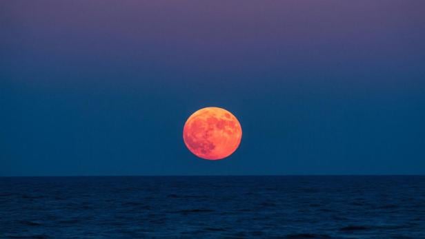 Roter Vollmond am Horizont des Meeres