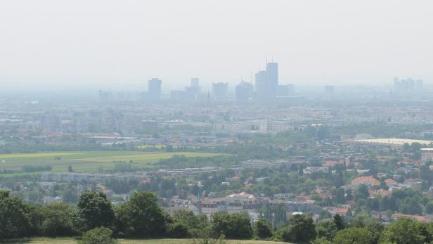 Blick vom Bisamberg über das neblige Wien