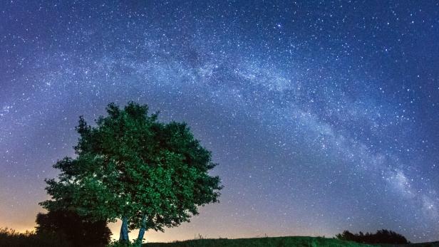 Sternenhimmel mit der Milchstraße über einem beleuchteten Baum und einer Wiese.
