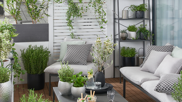 Ein Balkon mit Pflanzen und Möbeln, der eine gemütliche und einladende Atmosphäre schafft.