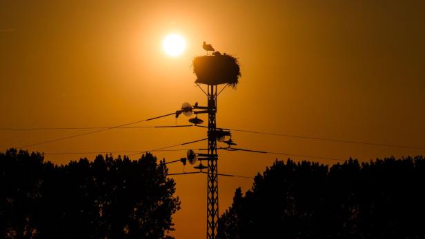 Sonnenuntergang am Storchenest