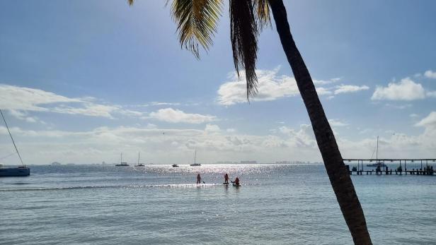 Isla Mujeres Blick auf das Meer mit Palme