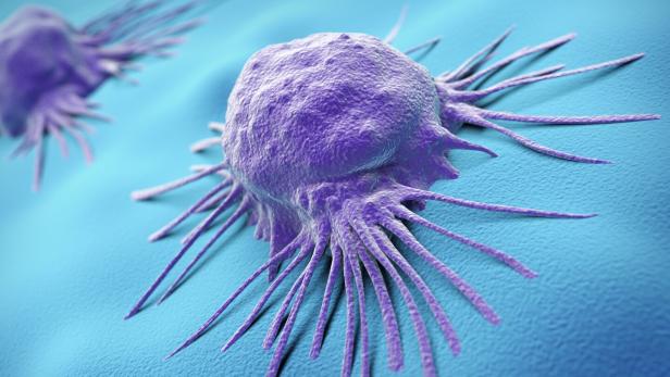 Lila Zelle mit langen Ausläufern auf einer blauen Oberfläche, stark vergrößert dargestellt.