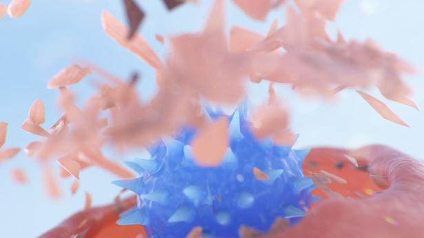 NK Cell (Natural Killer Cell) Attacking a Cancer Cell