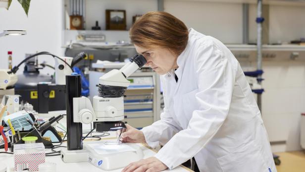 Univ.-Prof. Claudia Felser