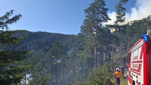 Waldbrand Rax