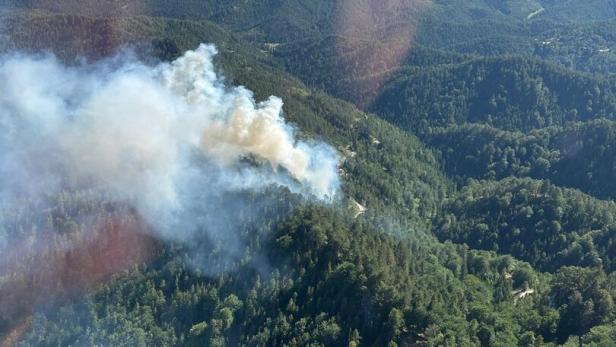 Waldbrand Rax