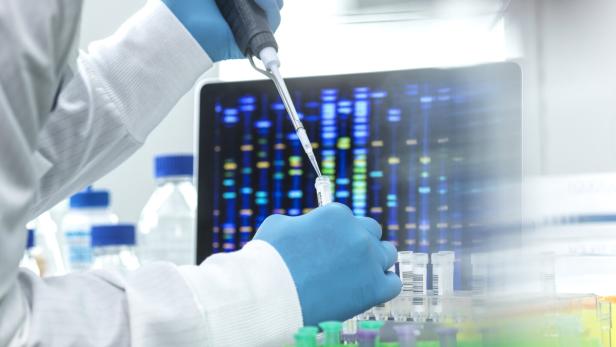 Wissenschafterin pipettiert Probe in ein Röhrchen für DNA-Tests.